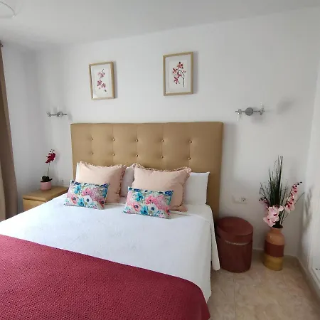 Flor De Cactus Appartement Costa Teguise