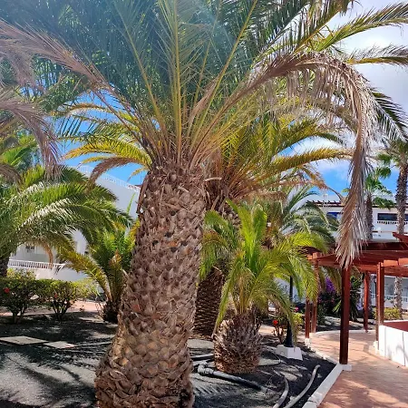 Flor De Cactus Appartement