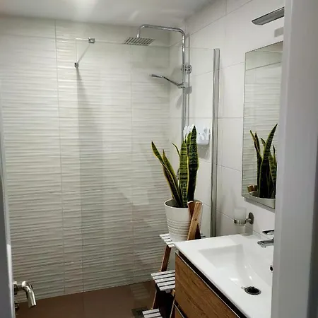 Апартаменты Flor De Cactus *