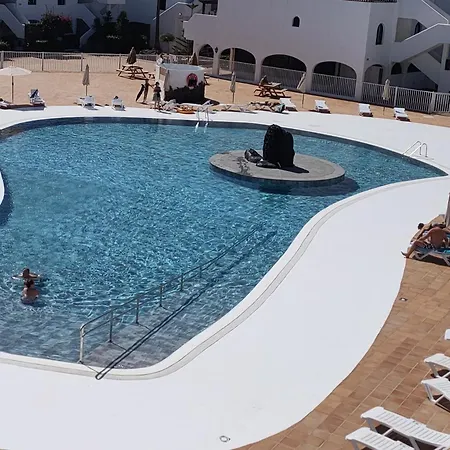 Flor De Cactus Costa Teguise