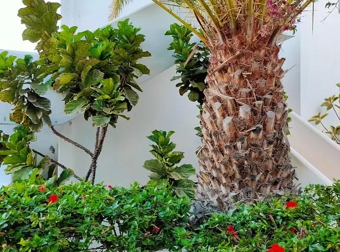 Flor De Cactus Appartamento *