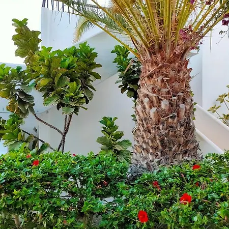 Flor De Cactus Apartment *